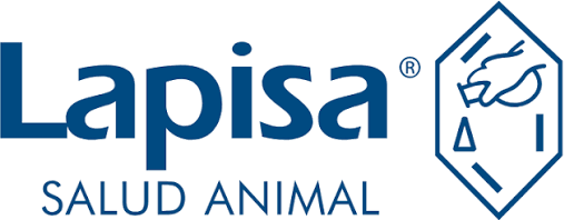 Lapisa