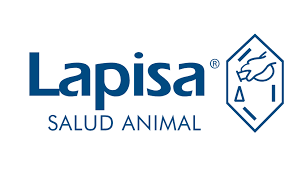 LAPISA